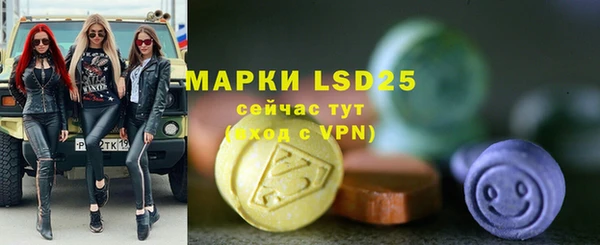 прущие грибы Балахна