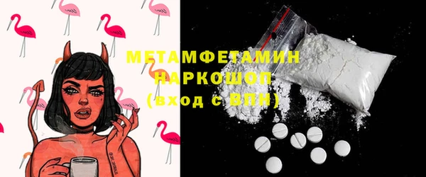 прущие грибы Балахна