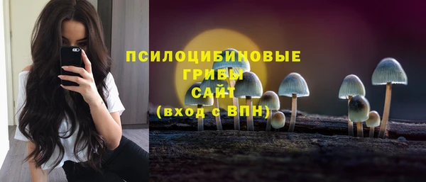 прущая мука Приозерск