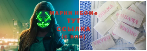 прущие грибы Балахна
