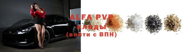 прущие грибы Балахна