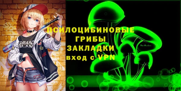 прущие грибы Балахна
