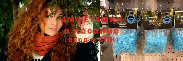прущие грибы Балахна