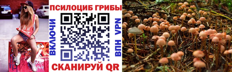Псилоцибиновые грибы ЛСД  MEGA зеркало  Славгород  продажа наркотиков 