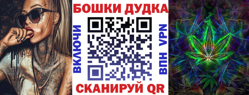 KRAKEN зеркало  продажа наркотиков  Славгород  Канабис планчик 